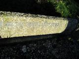 image of grave number 362649